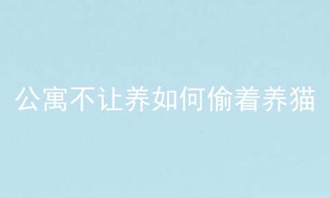 公寓不让养如何偷着养猫