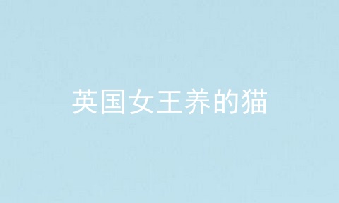 英国女王养的猫