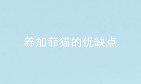 养加菲猫的优缺点