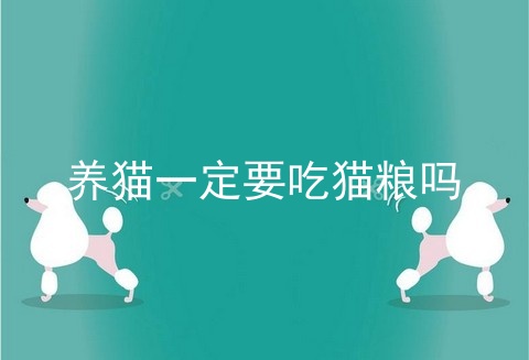 养猫一定要吃猫粮吗