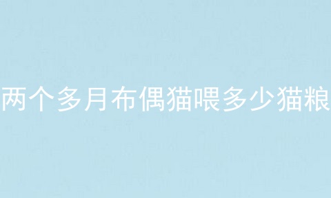 两个多月布偶猫喂多少猫粮