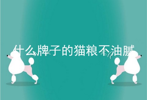 什么牌子的猫粮不油腻
