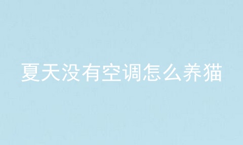 夏天没有空调怎么养猫