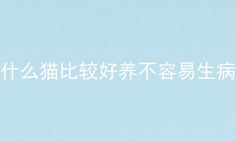 什么猫比较好养不容易生病