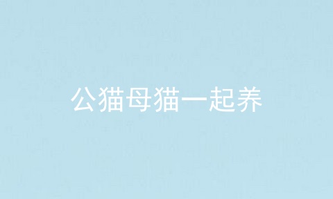 公猫母猫一起养