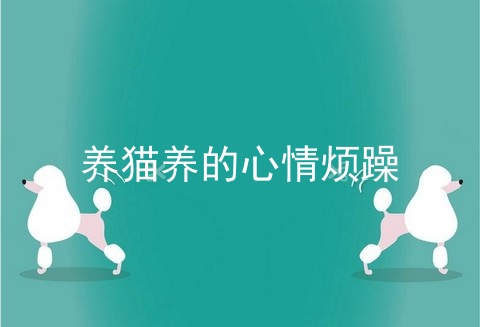 养猫养的心情烦躁
