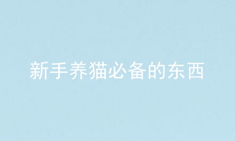 新手养猫必备的东西