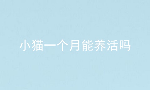 小猫一个月能养活吗