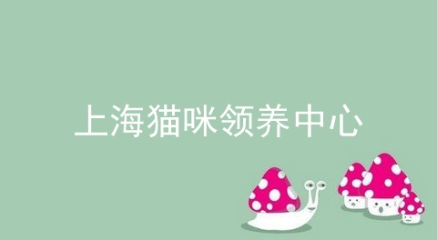 上海猫咪领养中心