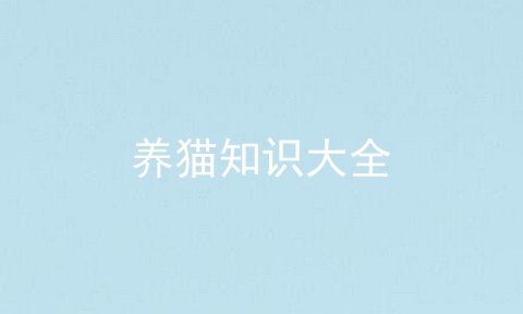 养猫知识大全