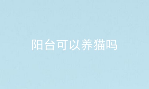 阳台可以养猫吗