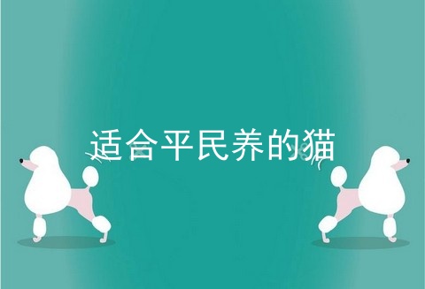 适合平民养的猫
