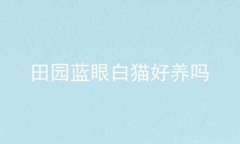田园蓝眼白猫好养吗