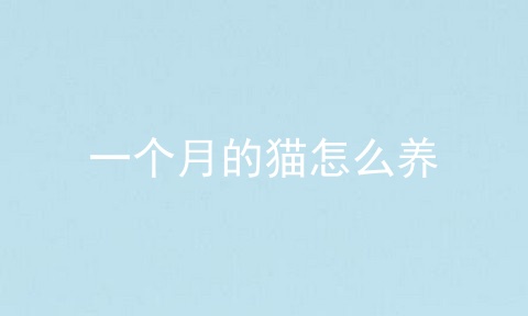 一个月的猫怎么养