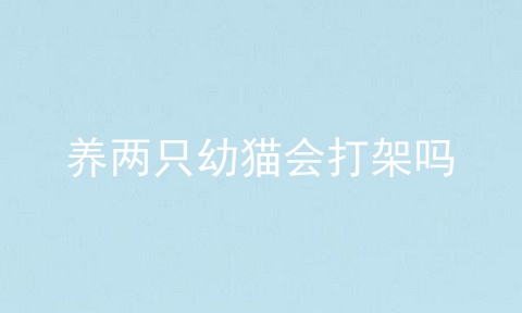 养两只幼猫会打架吗