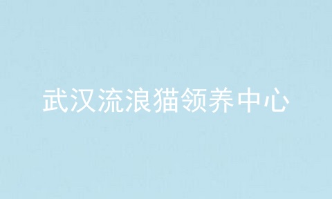 武汉流浪猫领养中心