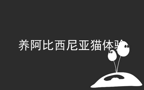 养阿比西尼亚猫体验