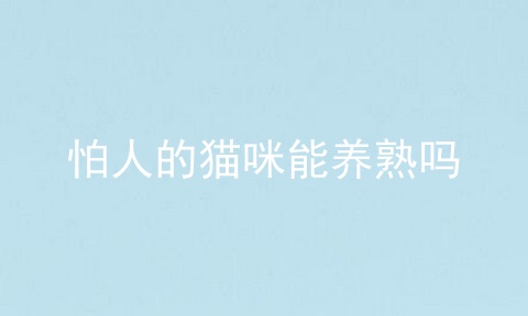 怕人的猫咪能养熟吗