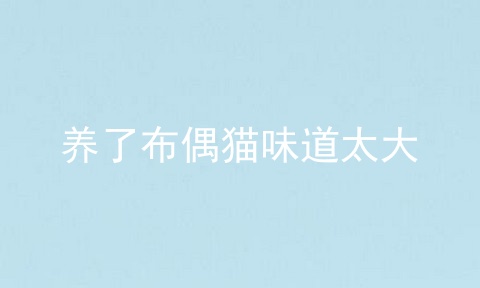 养了布偶猫味道太大
