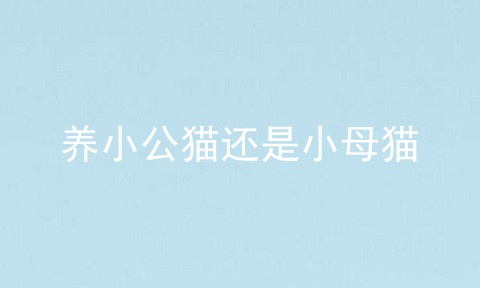 养小公猫还是小母猫