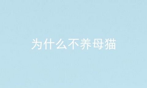 为什么不养母猫