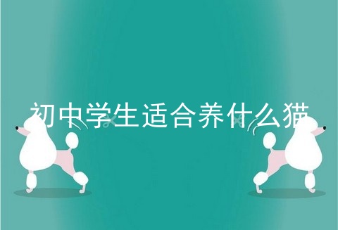 初中学生适合养什么猫