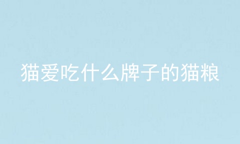 猫爱吃什么牌子的猫粮