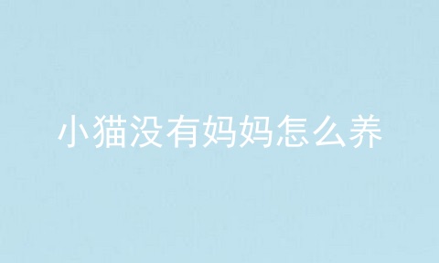 小猫没有妈妈怎么养