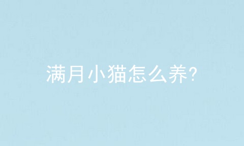 满月小猫怎么养?