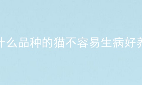 什么品种的猫不容易生病好养