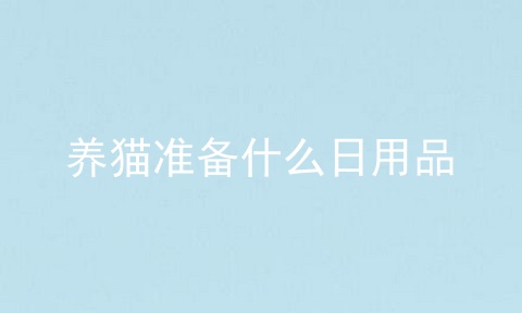 养猫准备什么日用品