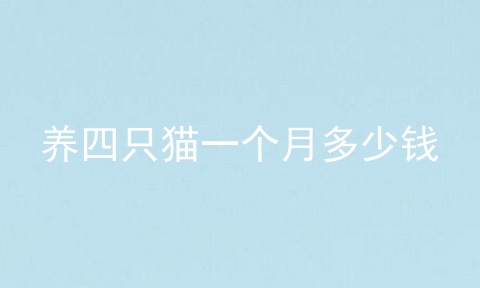 养四只猫一个月多少钱