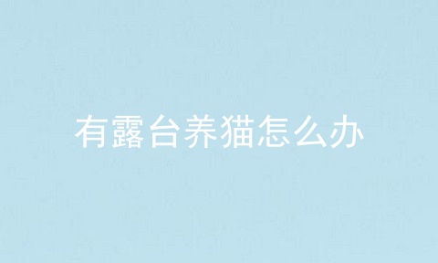 有露台养猫怎么办