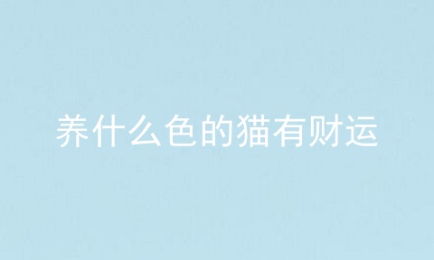 养什么色的猫有财运