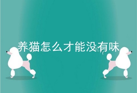 养猫怎么才能没有味