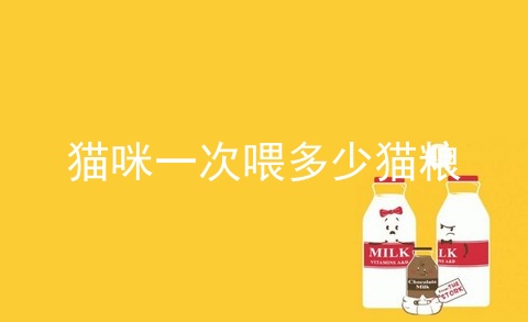 猫咪一次喂多少猫粮