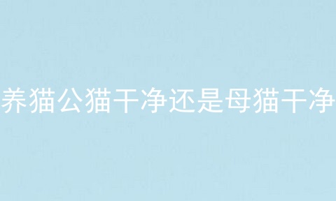 养猫公猫干净还是母猫干净