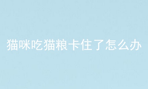 猫咪吃猫粮卡住了怎么办