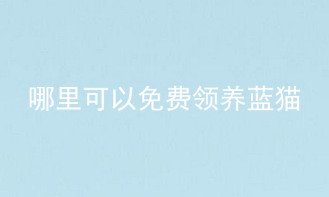 哪里可以免费领养蓝猫