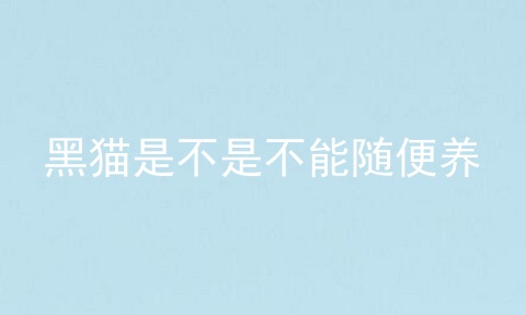 黑猫是不是不能随便养