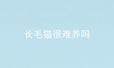 长毛猫很难养吗