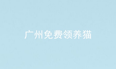 广州免费领养猫