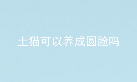土猫可以养成圆脸吗
