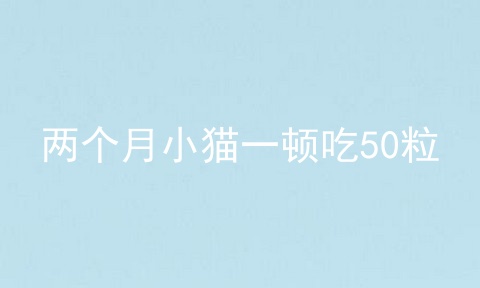 两个月小猫一顿吃50粒