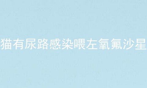 猫有尿路感染喂左氧氟沙星
