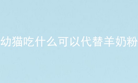 幼猫吃什么可以代替羊奶粉