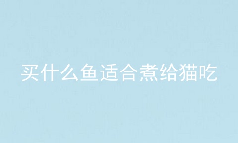 买什么鱼适合煮给猫吃