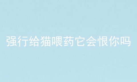 强行给猫喂药它会恨你吗