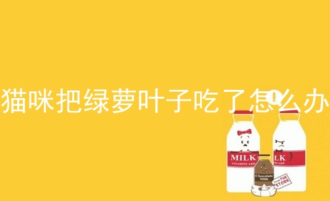 猫咪把绿萝叶子吃了怎么办