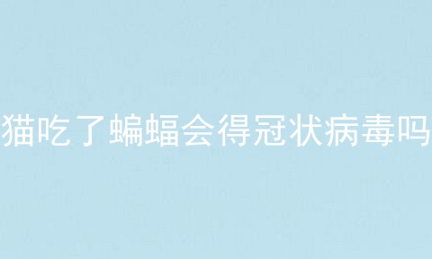 猫吃了蝙蝠会得冠状病毒吗
